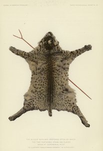The wildcat skin and crotched stick with feathered stems at ceremonial rest by American School