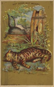 Three Weary Cats by American School