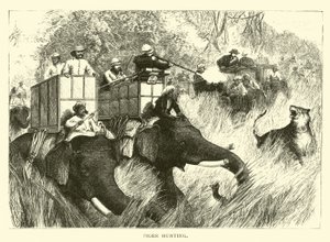 Tiger Hunting by American School
