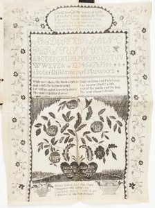Unknown Image by American School