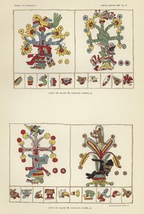 Vatican Codex by American School