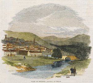 View of Houston, Capital of Texas, c. 1852 by American School