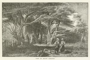 View of Mount Lebanon by American School