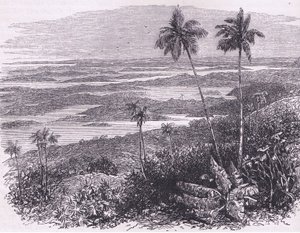 View of the Bermudas, illustration from Cassell