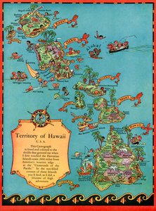 Vintage Tourist Map of Hawaii by American School