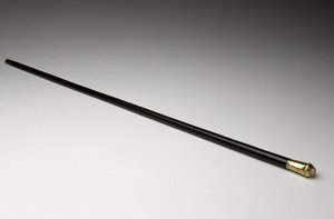 Walking Stick