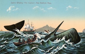 Whalers Harpooning a Sperm Whale Off New Bedford, Massachusetts by American School