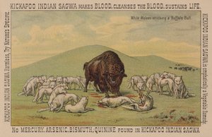White Wolves Attacking a Buffalo Bull by American School