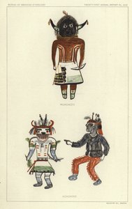 Wukokoti, Kohonino by American School