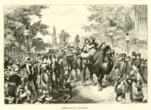 Zoological Garden by American School