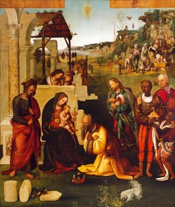 Adoration of Magi by Amico Aspertini