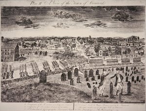 View of the Town of Concord