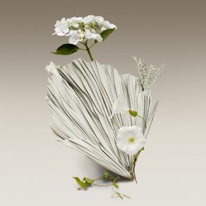 Ikebana 08, 2018
