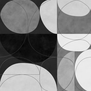 Shapes BW 3 Copy by Ana Rut Bre