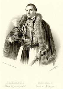 Danilo I by Anastas Jovanović