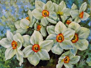 Daffodils In Bloom