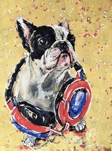 Frenchie with Headphones