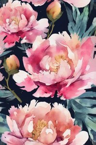 Pink Peonies