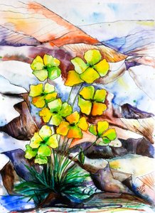 Vibrant Mountain Flowers by Anda Bieza