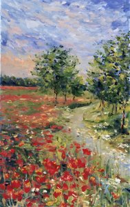 Vibrant Poppy Field by Anda Bieza