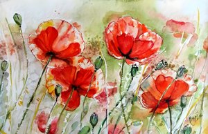 Vibrant Watercolor Poppies