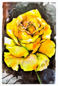 Vibrant Yellow Rose