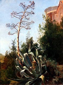 Landscape; Southern Italy