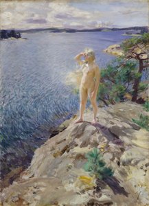 On the rocks