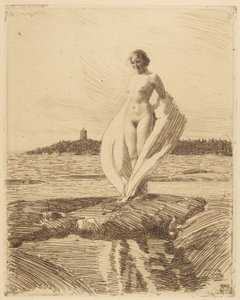 The Swan by Anders Leonard Zorn