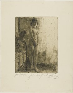 A Dark Corner by Anders Leonard Zorn