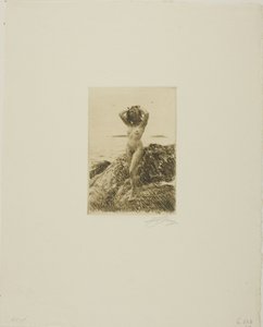 Seawood-wreath