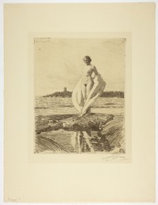The Swan