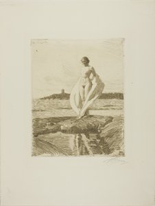 The Swan