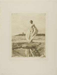 The Swan