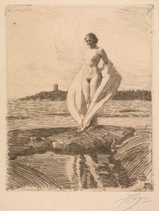 The Swan