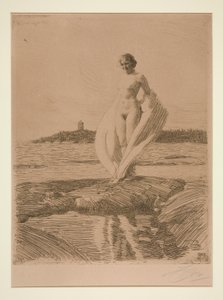 The Swan