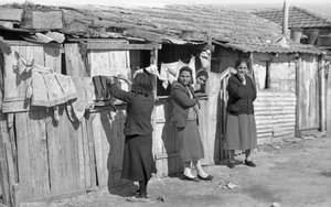 Crotone - Women in Shutts