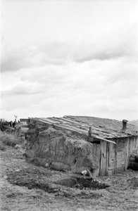 Crotone Countryside - Shack and Barn