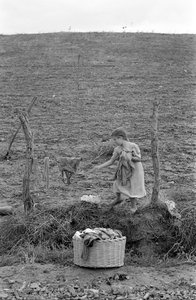 Crotone Countryside - The Little Laundryman