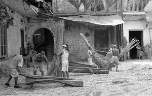 Hemp Processing, The Paranza of the Maciullatori by Ando Gilardi