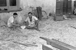 Hemp Processing, Shared Soup