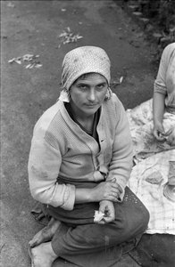 The Lunch of the Olive Collector by Ando Gilardi