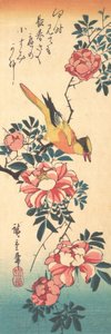 Eastern Grey Wagtail and Rose, early 1830s by Ando Hiroshige