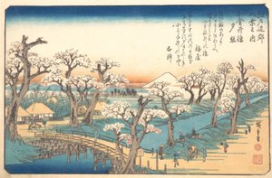 Evening Glow at Koganei Border by Ando Hiroshige