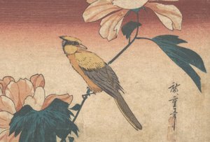 Hibiscus Mutabilis and Jay by Ando Hiroshige
