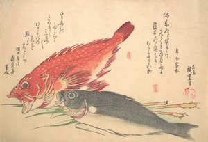 Isaki and Kasago Fish, from the series Uozukushi Every Variety of Fish