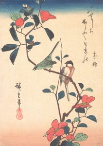 Japanese White-eye and Titmouse on a Camellia Branch by Ando Hiroshige