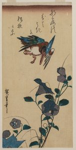 Kingfisher and Chinese Bellflowers by Ando Hiroshige