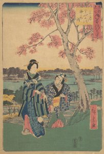 Plum-Blossom Viewing in the Third Month at Sumida River from the Series Annual Events by Ando Hiroshige