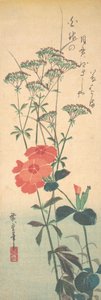 Superb Pinks and Chinese Agrimony, ca. 1836 by Ando Hiroshige